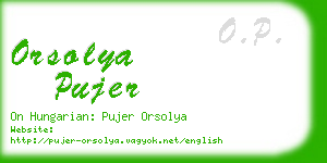 orsolya pujer business card